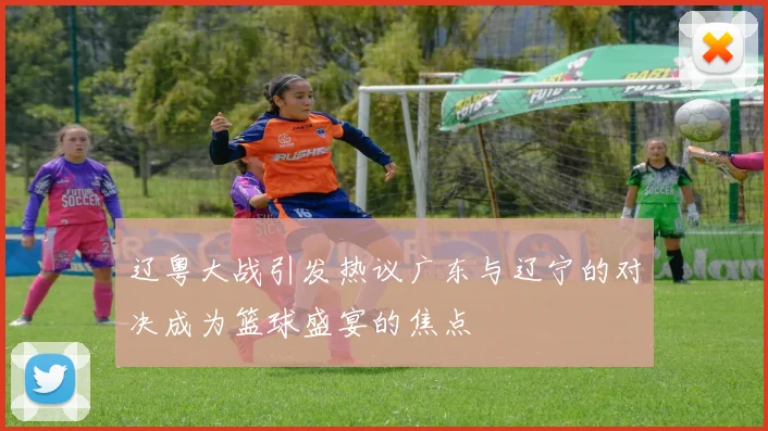 辽粤大战引发热议广东与辽宁的对决成为篮球盛宴的焦点